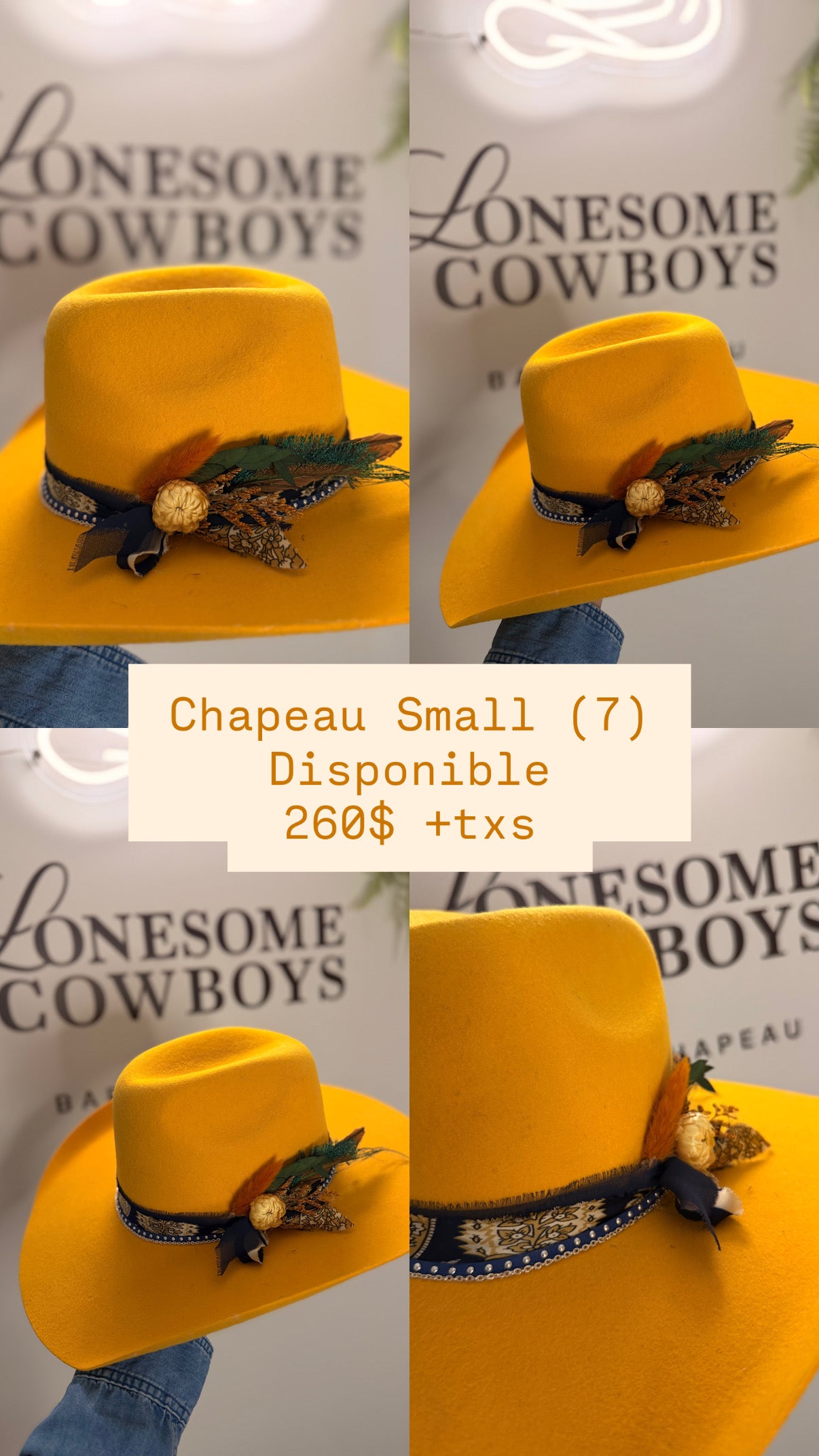 Chapeau Jaune Small (7)