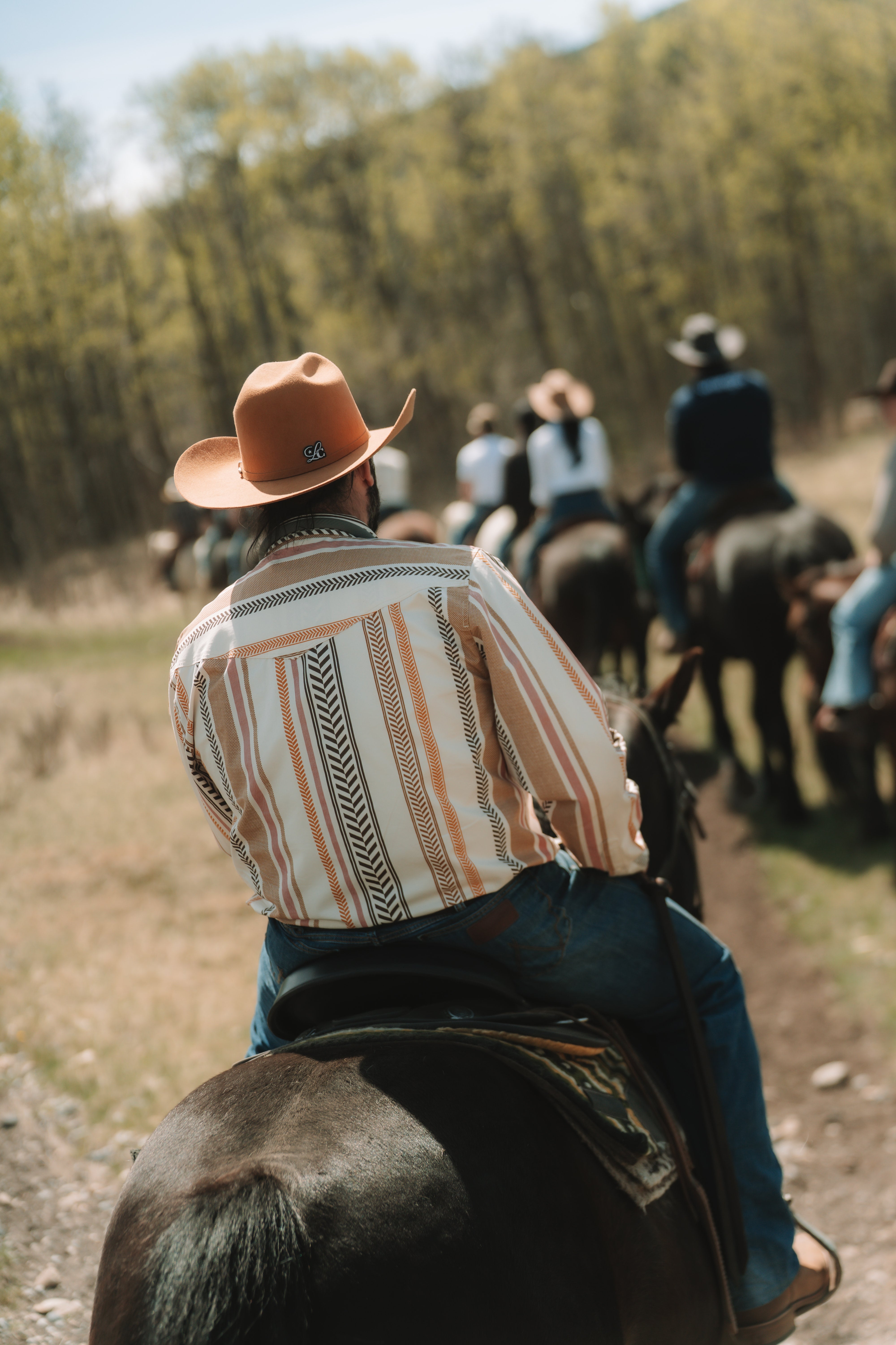 Chapeaux Cowboys Tobaco Laine 20x